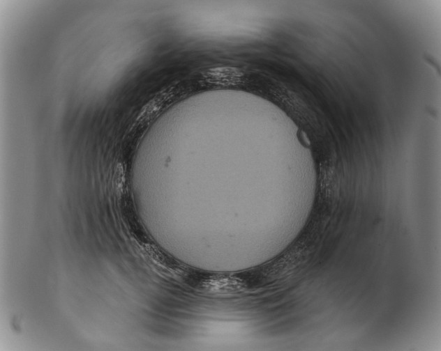 X0000102800752200809081112