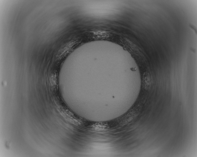 X0000102800756200809081112