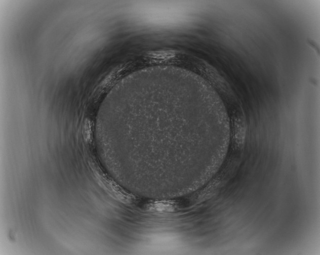 X0000102800758200809081112