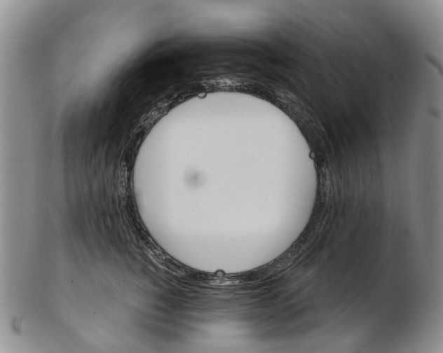 X0000102800760200809081112