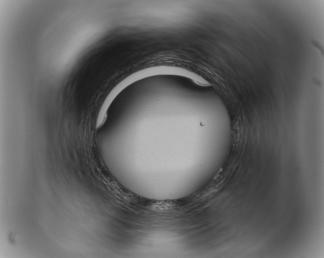 X0000102800762200809081112