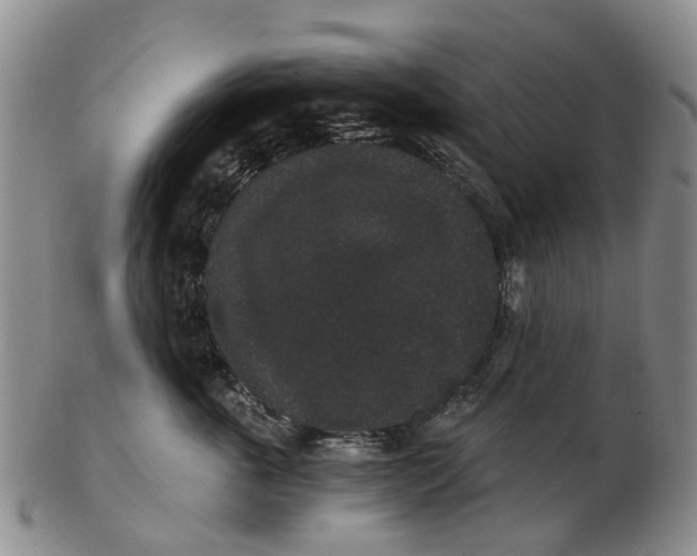 X0000102800763200809081112