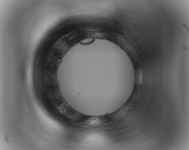 X0000102800764200809081112