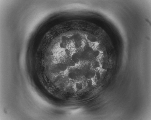 X0000102800765200809081112