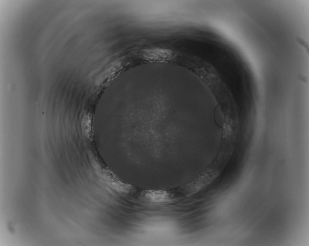 X0000102800767200809081112