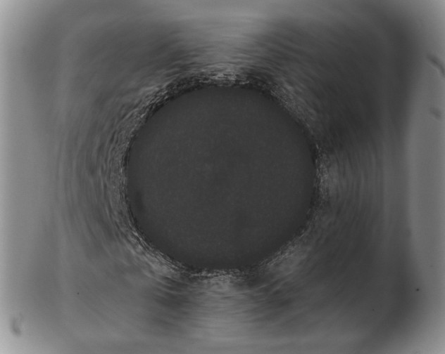 X0000102800769200809081111