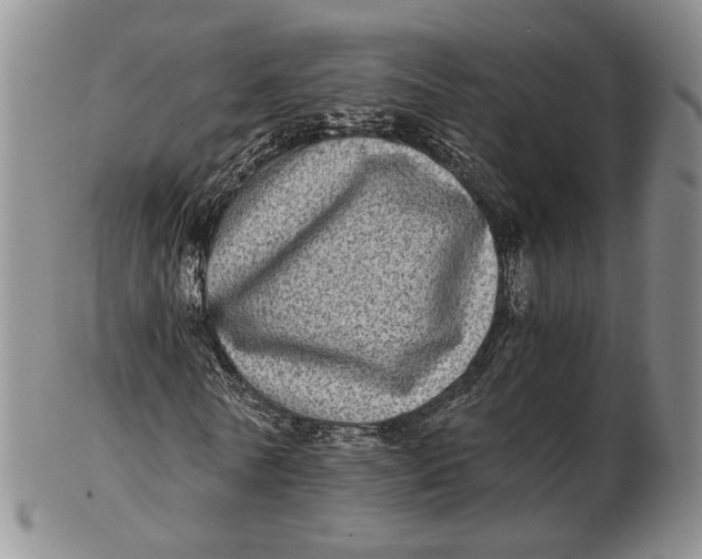 X0000102800770200809081111