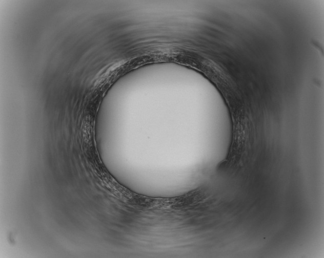 X0000102800773200809081111