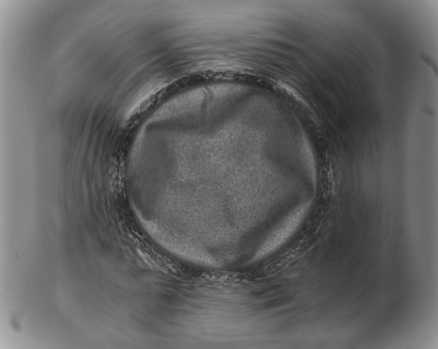 X0000102800775200809081111