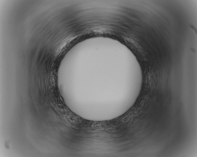 X0000102800776200809081111