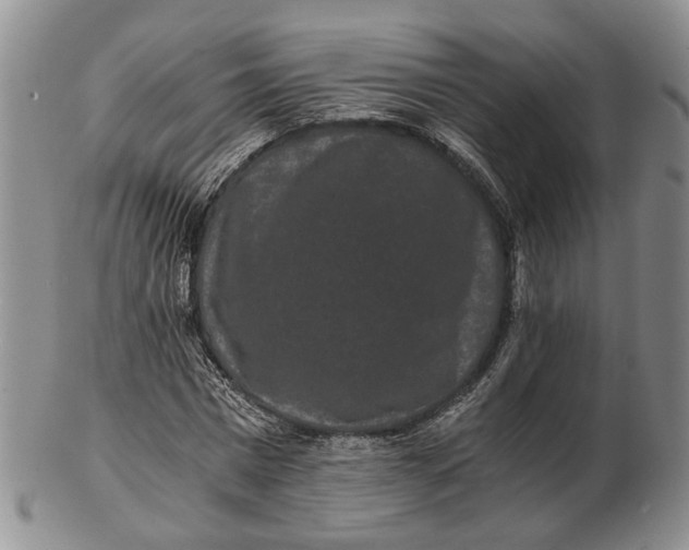 X0000102800777200809081111