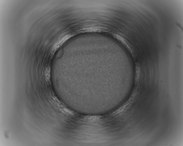 X0000102800778200809081111