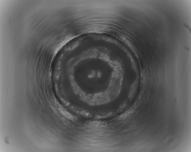 X0000102800779200809081111