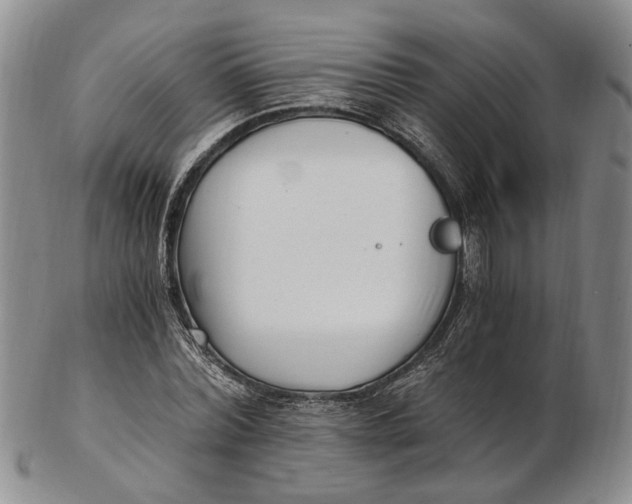 X0000102800780200809081111