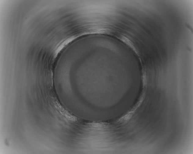 X0000102800781200809081111