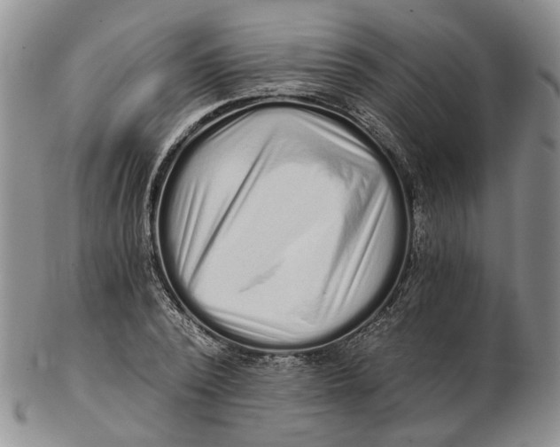 X0000102800784200809081111