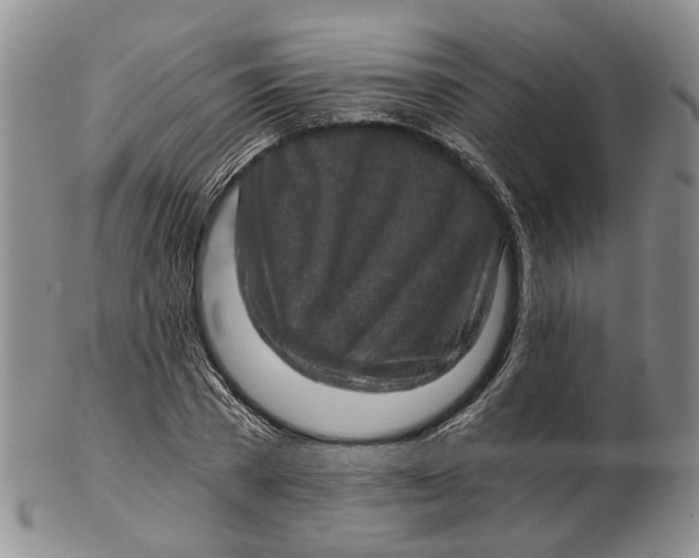 X0000102800785200809081111