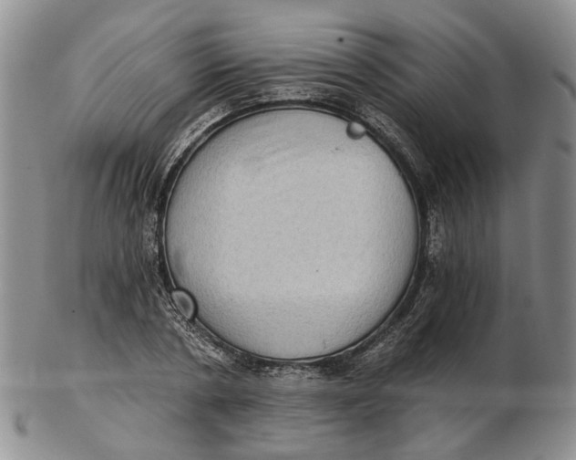 X0000102800786200809081111