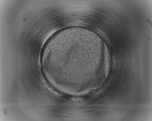 X0000102800788200809081111