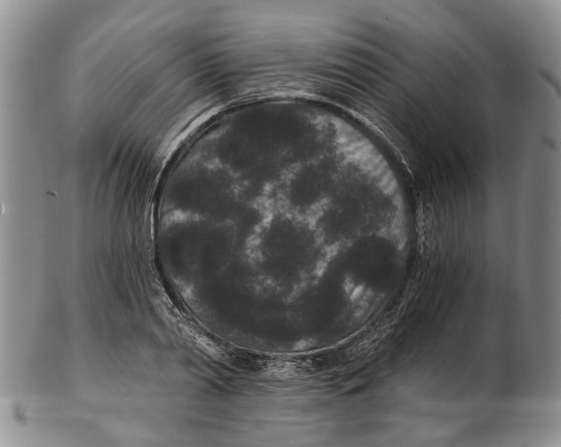 X0000102800790200809081111