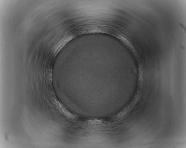 X0000102800793200809081111