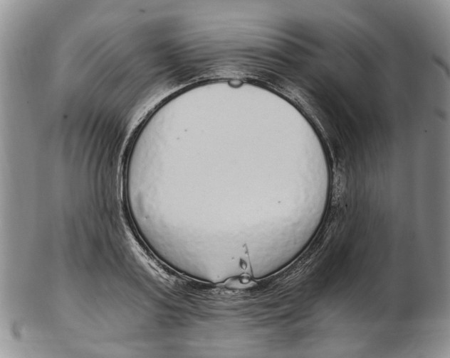 X0000102800795200809081111