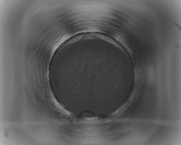 X0000102800797200809081111