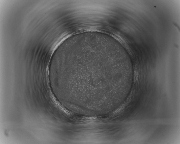 X0000102800798200809081111