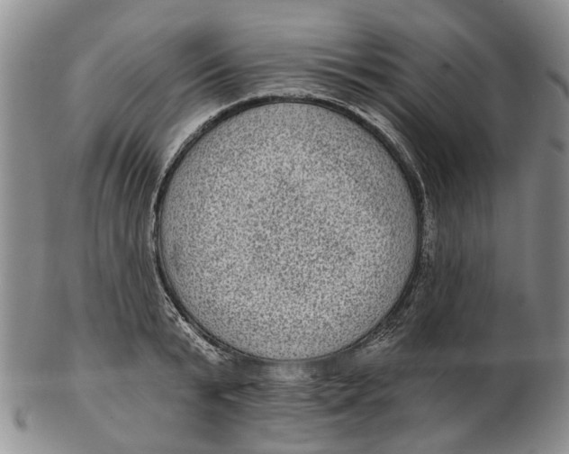 X0000102800799200809081111