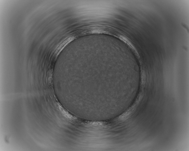 X0000102800801200809081111