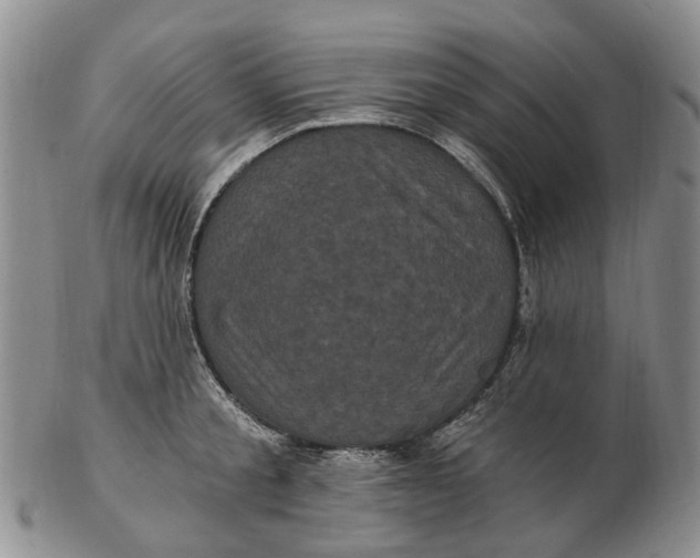 X0000102800805200809081111