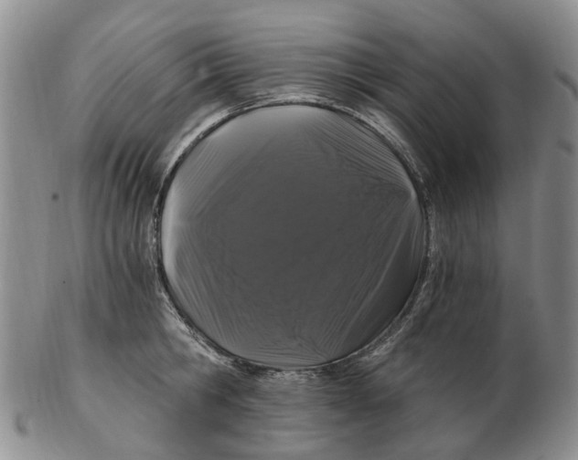 X0000102800806200809081111