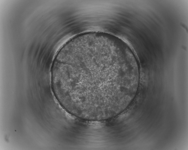 X0000102800807200809081111