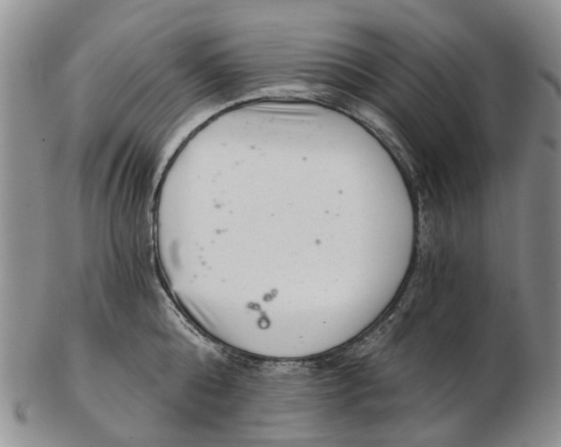 X0000102800808200809081111