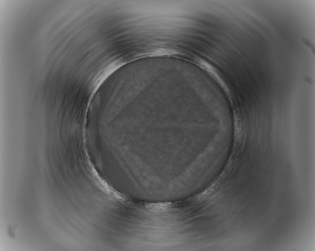 X0000102800810200809081111