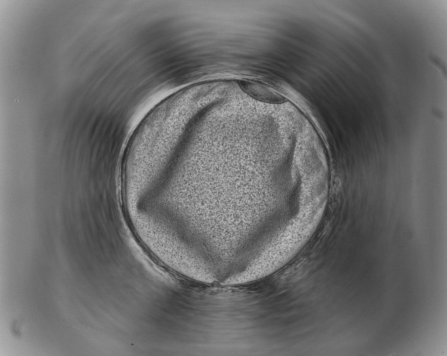 X0000102800811200809081111