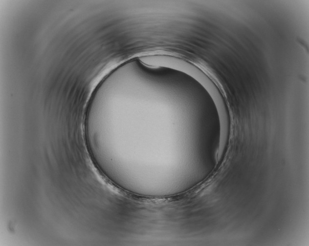 X0000102800813200809081111