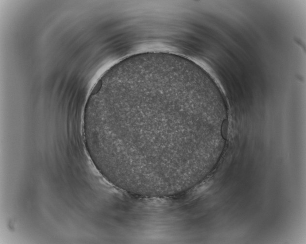 X0000102800815200809081110