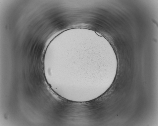 X0000102800816200809081110