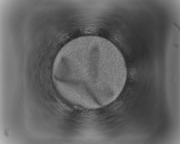 X0000102800817200809081110