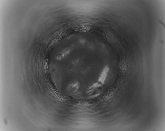 X0000102800818200809081110