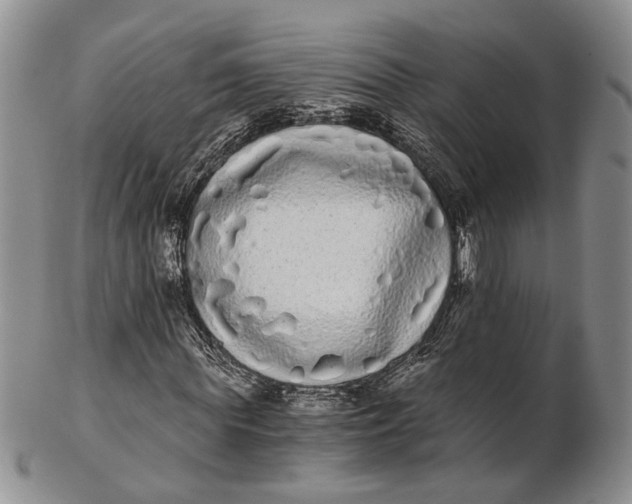 X0000102800819200809081110