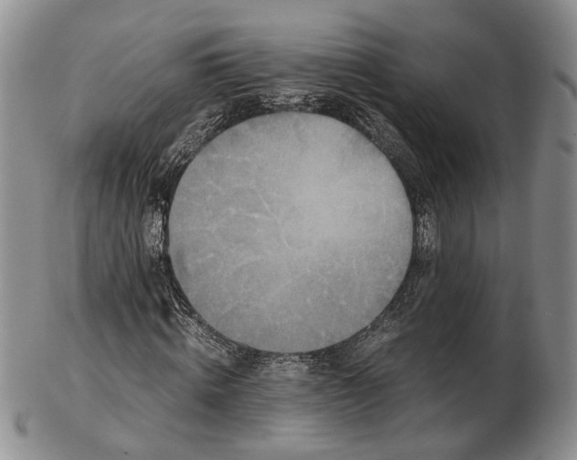 X0000102800820200809081110