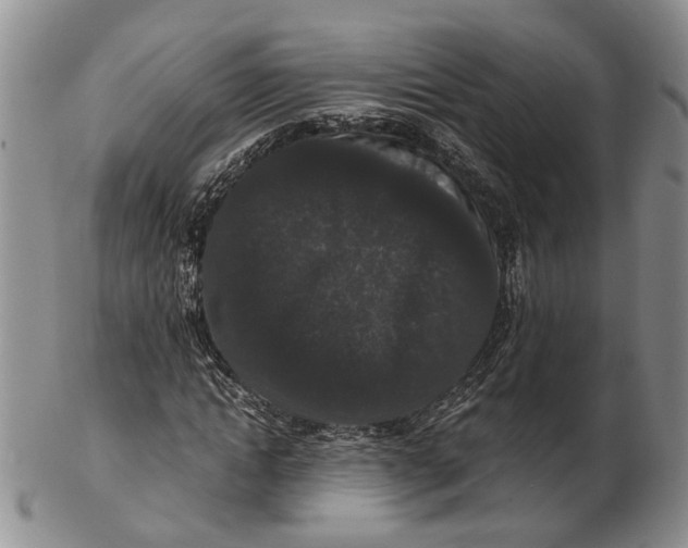 X0000102800822200809081110