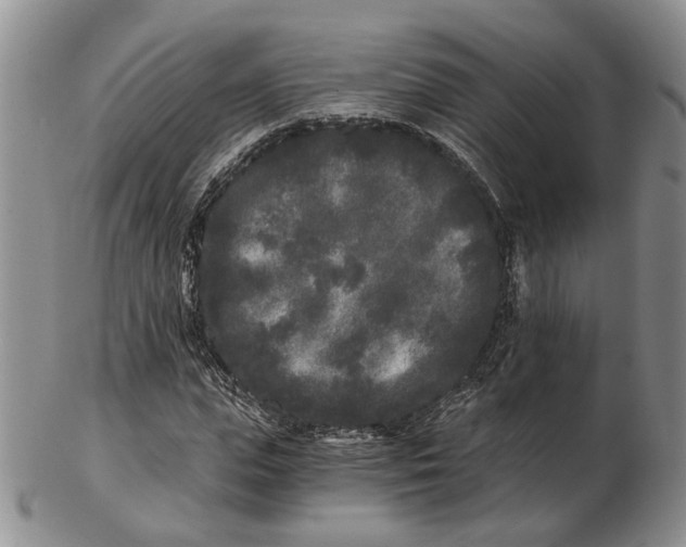 X0000102800823200809081110