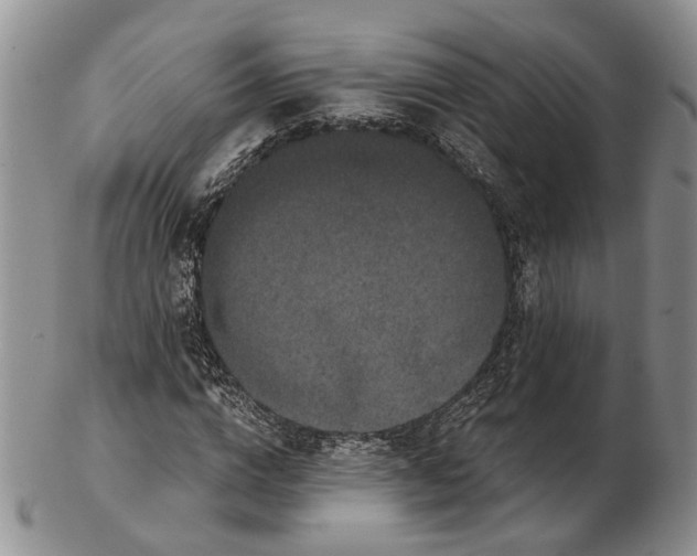 X0000102800824200809081110