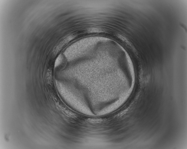 X0000102800825200809081110