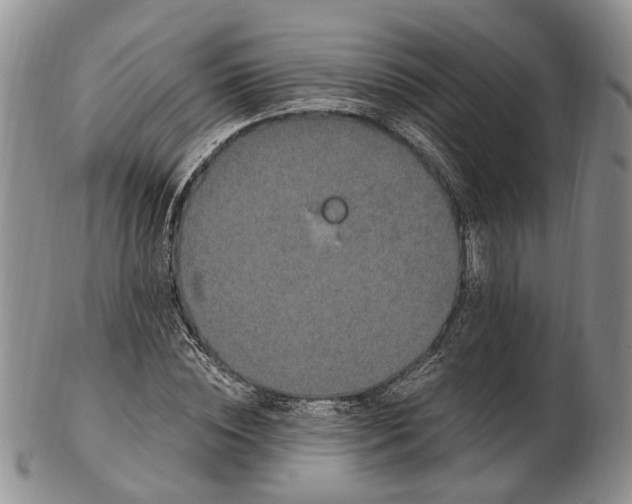 X0000102800828200809081110