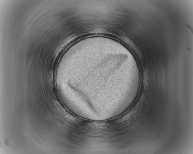 X0000102800831200809081110