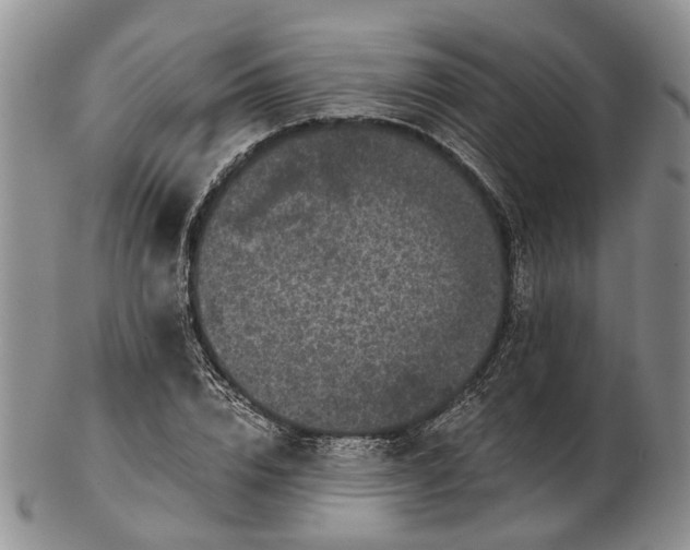 X0000102800832200809081110